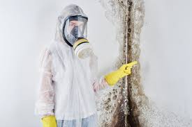  , USA Mold Prevention & Removal Pros